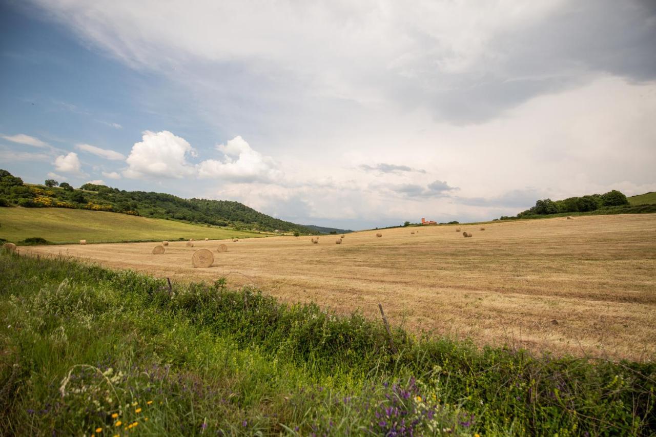 Agriturismo Lago Di Mezzano Valentano 외부 사진